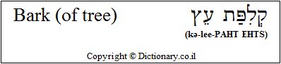 'Bark (of Tree)' in Hebrew 'Bark (of Tree)' in Hebrew